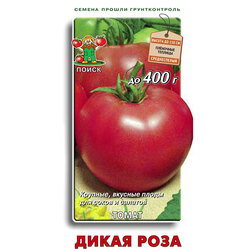 ������ ������ ����� ����� ����   ����