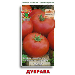 ������ ������ ����� �������   ����