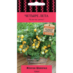 ������ ������ ����� ������ ������� (������ ����)   ����