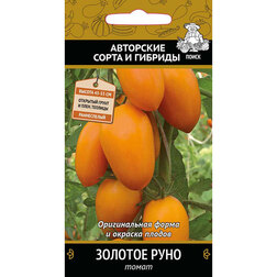 ������ ������ ����� ������� ����   ����