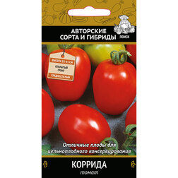 ������ ������ ����� �������   ����