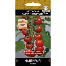 ������ ������ ����� ������� F1   ����