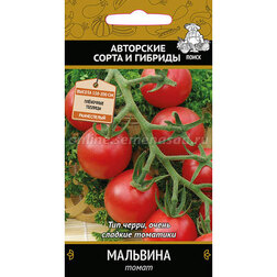 ������ ������ ����� ��������   ����