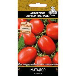 ������ ������ ����� �������   ����