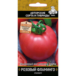 ������ ������ ����� ������� ��������   ����