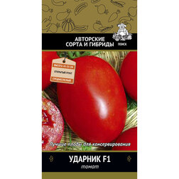 ������ ������ ����� ������� F1   ����