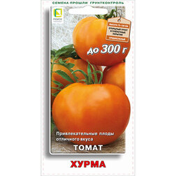 ������ ������ ����� �����   ����