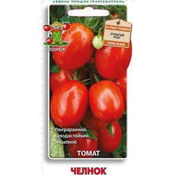 ������ ������ ����� ������   ����