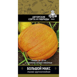 ������ ������ ����� ������������� ������� ����   ����