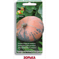 ������ ������ ����� ������������� ������   ����