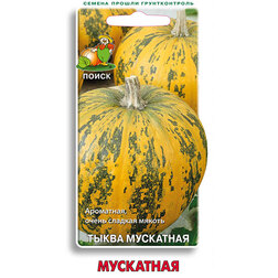 ������ ������ ����� ��������� ���������   ����