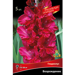 ������ ������ ��������� ����������� (5 ��.)   ����