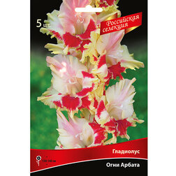 ������ ������ ��������� ���� ������ (5 ��.)   ����