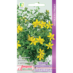 ������ ������ �������� �������������� ��������   ����