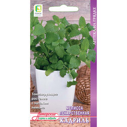 ������ ������ ������� ������������� (�������� ����) �������   ����