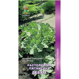 ������ ������ ���������� ��������� ����� (���� ������. �� ����� 2024 �)   ����