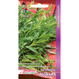 ������ ������ �������� ������   ����