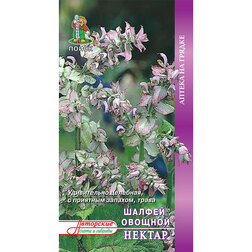 ������ ������ ������ ������� ������   ����