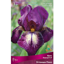 ������ ������ ���� ��������� ������� ����   ����