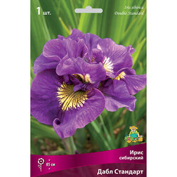 ������ ������ ���� ��������� ���� ��������   ����