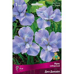 ������ ������ ���� ��������� ��� ������   ����