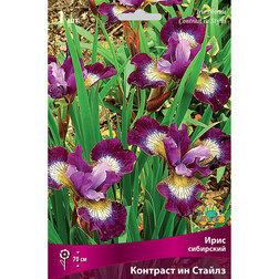 ������ ������ ���� ��������� �������� �� ������   ����