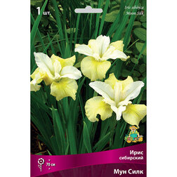 ������ ������ ���� ��������� ��� ����   ����