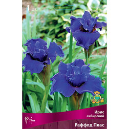 ������ ������ ���� ��������� ������ ����   ����