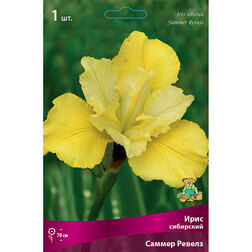 ������ ������ ���� ��������� ����� ������   ����