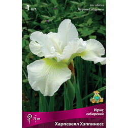 ������ ������ ���� ��������� ��������� ���������   ����