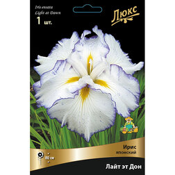 ������ ������ ���� �������� ���� �� ���   ����