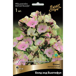 ������ ������ ����� ����������� ���� ��� ��������   ����