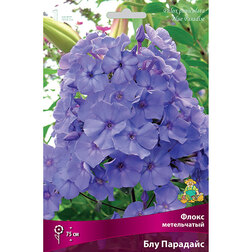 ������ ������ ����������� ����� ����������� ��� ��������   ����