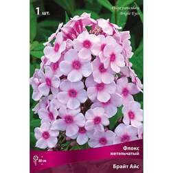 ������ ������ ����� ����������� ����� ���   ����