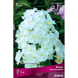 ������ ������ ����� ����������� �����   ����