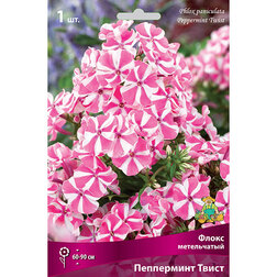 ������ ������ ����������� ����� ����������� ���������� �����   ����