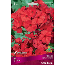 ������ ������ ����� ����������� ���������   ����