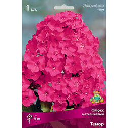 ������ ������ ����� ����������� �����   ����