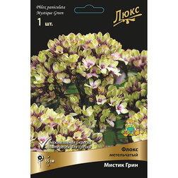 ������ ������ ����� ����������� ������ ����   ����