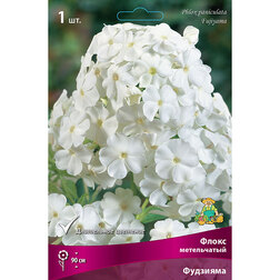 ������ ������ ����� ����������� ��������   ����