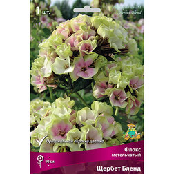 ������ ������ ����� ����������� ������ �����   ����