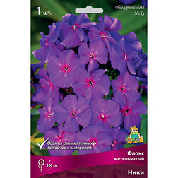 ������ ������ ����� ����������� ����   ����