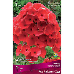 ������ ������ ����� ����������� ��� ������� ���   ����