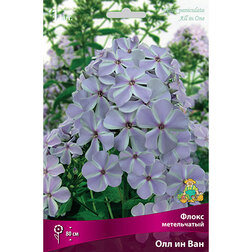 ������ ������ ����� ����������� ��� �� ���   ����