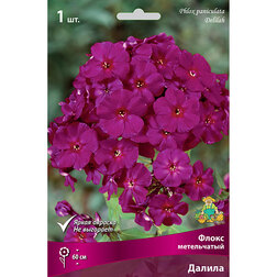 ������ ������ ����� ����������� ������   ����