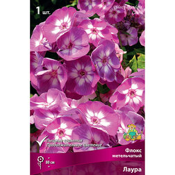 ������ ������ ����� ����������� �����   ����