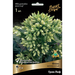 ������ ������ ����� ����������� ���� ���   ����