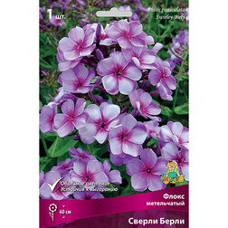 ������ ������ ����� ����������� ������ �����   ����