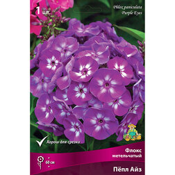 ������ ������ ����� ����������� ϸ�� ���   ����