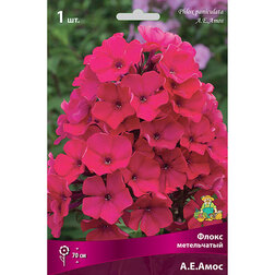 ������ ������ ����� ����������� �.�.����   ����